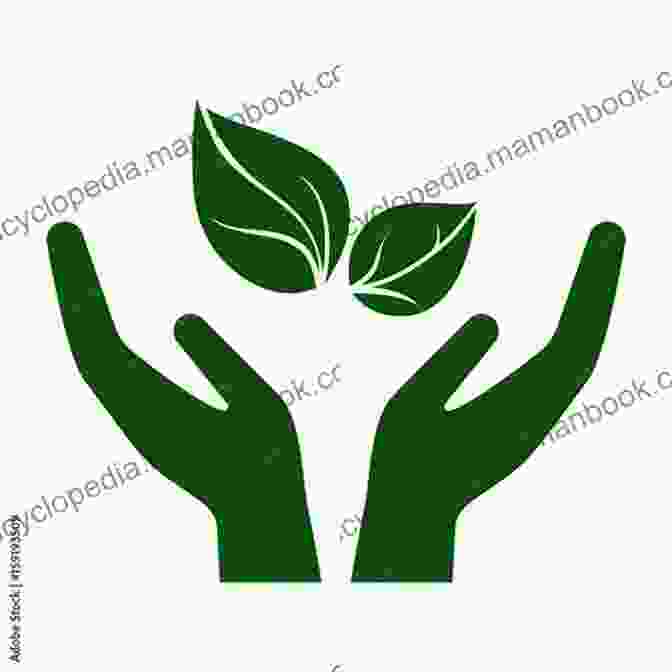 Green Leaf In Hands, Symbolizing Environmental Stewardship The 10 Rules Of Successful Nations