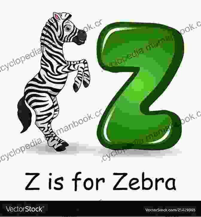 Zebra Illustration From Alphabet To Animals By Mark Phillips Alphabet To Animals Mark Phillips