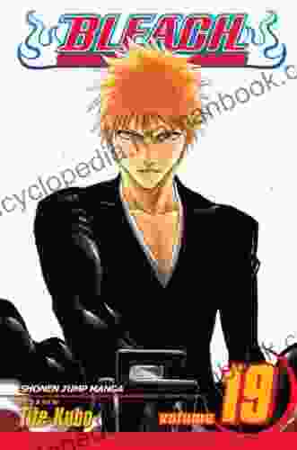 Bleach Vol 19: The Black Moon Rising