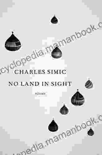 No Land in Sight: Poems